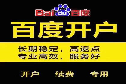 百度广告竞价策略详解：某电商平台的成功案例
