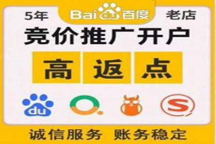 体育赛事宣传中的SEM托管服务：从策划到执行